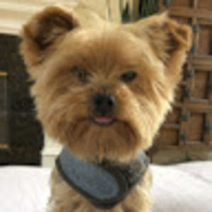 Meet your Posher, Ariane